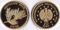 BRD 20 Euro Deutscher Wald - Kiefer 1/8 Unze Gold -