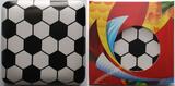 10 Dollar<br>1/2 oz<br>15,87g<br> fein<br> 34 mm Ø Frauenfußball Weltmeisterschaft 2015 in Kanada, <b> -Die Spielerin- 3/6 </b> <b>Proof</b>