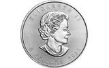 Kanada <b>25 oz.</b><br> in<br> einem<br> Tupe! Jahrgänge nach unser Wahl <b>25</b> x Maple Leaf in Silber, 1 Unze Feinsilber, zum Silberpreis i.orig.Tube <b>Anlagesilber </b>BU <br>