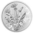 Österreich 10 Euro 2022 Der Löwenzahn - Serie: 2. von 7 - im Blister hgh <br>im <br> Blister