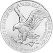 USA <b>100 oz.</b><br> in<br> fünf<br> Tupes! 2021 <b>100</b> x Silber Eagle, <b>1. Münze mit Typ II - </b> <b>ohne Box</b> <b>Anlagesilber </b>BU <br> <b>aus einer Box!</b>