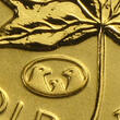Kanada 1/10 oz<br>5 Dollar<br> 3,11g<br> fein<br> 16,5 Ø 1990-<br>2003 Maple Leaf 1/10 oz. Zuckerahornblatt 999,9er Gold, mit Privy Eagle,<b>1998</b> BU <br><b> Anlagegold / <b>Sammlermünze</b>
