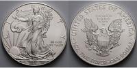 USA 1 $ Silber Eagle -