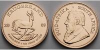Süd Afrika 1 oz<br> 31, 1g<br> fein<br> 32, 69 mm Ø Krügerrand 1 oz. - Springbock, 2009 <b>seltener Jahrgang</b> Picture