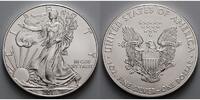 USA 1 $ Silber Eagle -