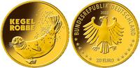 Deutschland 20 Euro<br>3,89g<br>fein<br> 17,5 mm Ø Rückkehr der Wildtiere - Kegelrobbe <br> <b> Prägestätte G </b> <b>lieferbar! -