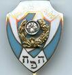 Badge Austria,Vienna, Hakoah Football club Oberliga 1938 Pin Gold, Diamond w/ box UNC