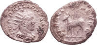 Roman Imperial antelope antoninianus Philip I -
