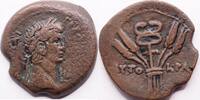 Egypt, Alexandria. Claudius Diobol Tiberius Claudius Nero Caesar Drusus -
