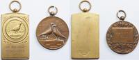 Nederland (lot) medaille Reis Duif -