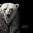 Cook Inseln 200$ 2024 1 oz Gold Coin King of the North - Polar Bear - Ultra High Relief Proof