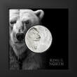 Cook Inseln 5$ 2024 1 oz Silver Coin King of the North - Polar Bear - Ultra High Relief Proof