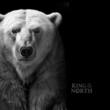 Cook Inseln 5$ 2024 1 oz Silver Coin King of the North - Polar Bear - Ultra High Relief Proof