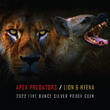 Niue 10$ 2022 5 oz Silver Coin Apex Predators - Lion & Hyena Proof