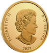Kanada 200$ 2022 1 oz Gold Coin 50th Anniversary of the Summit Series Proof