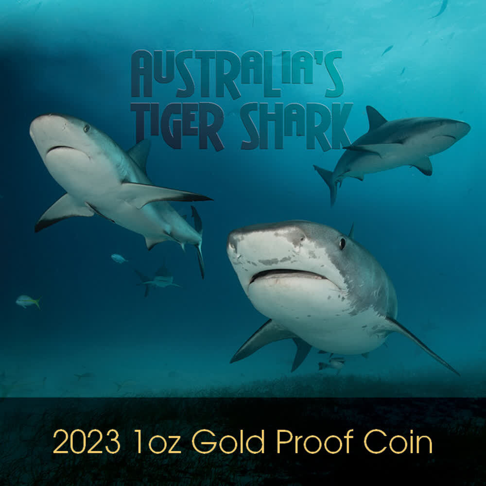 Niue 100$ 2023 1 oz Gold Coin Deadly & Dangerous - Tiger Shark
