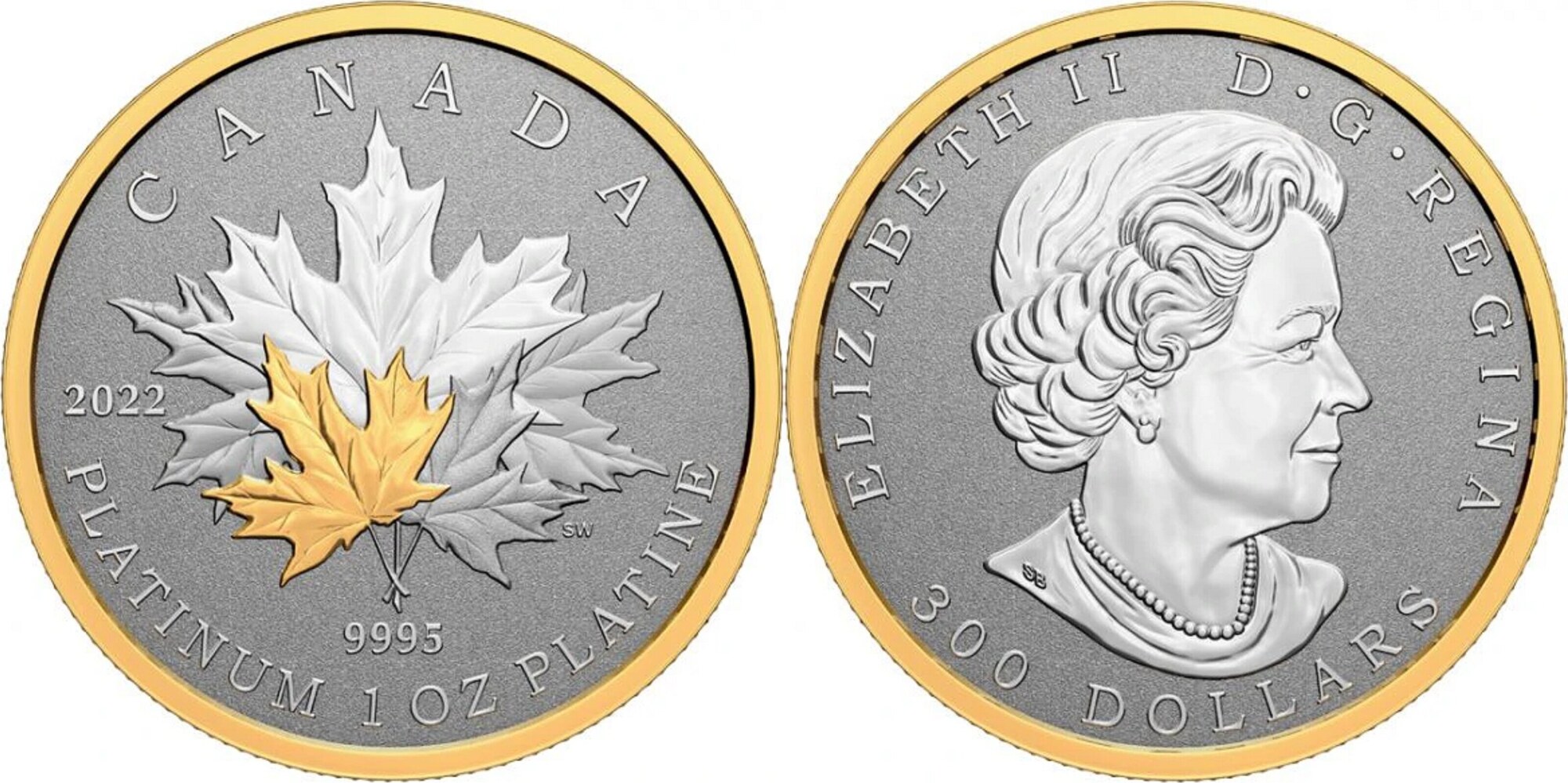 Kanada 300$ 2022 1 oz Platinum Coin Maple Leaf - Forever Reverse Proof ...