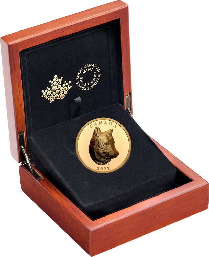 Kanada 250$ 2022 2 oz Gold Coin Timber Wolf - Ultra High Relief PP