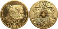 Südafrika 50 Rand 1/4 oz Gold Coin Big Five Series II - Leopard -