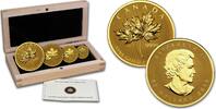 Kanada Maple Leaf Fractional 4-Coin Set -