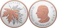 Kanada 100$ 10 oz Silver Coin Gleaming Maple Leaves -