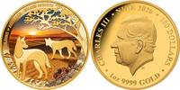 Niue 100$ 2026 1 oz Gold Coin Colours of Australia - Golden Deserts PP 50,672.89 元  ＋  701.62 元 运费