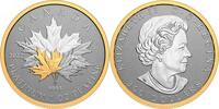 Kanada 300$ 1 oz Platinum Coin Maple Leaf - Forever -
