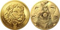 Südafrika 50 Rand 1/4 oz Gold Coin Big Five Series II - Lion -