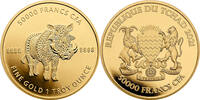 Tschad 50000 Francs 1 oz Gold Coin Mandala Wildlife - Warthog -