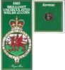 Verenigd Koninkrijk Groot Brittannië 1985 Welsh 1 pound coin -