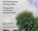 Ierland set2025 -