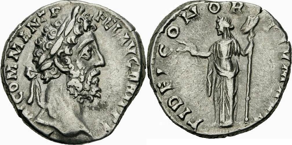 image not described image